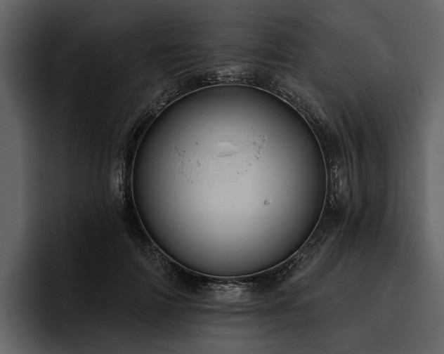 X0000095920698200801111235