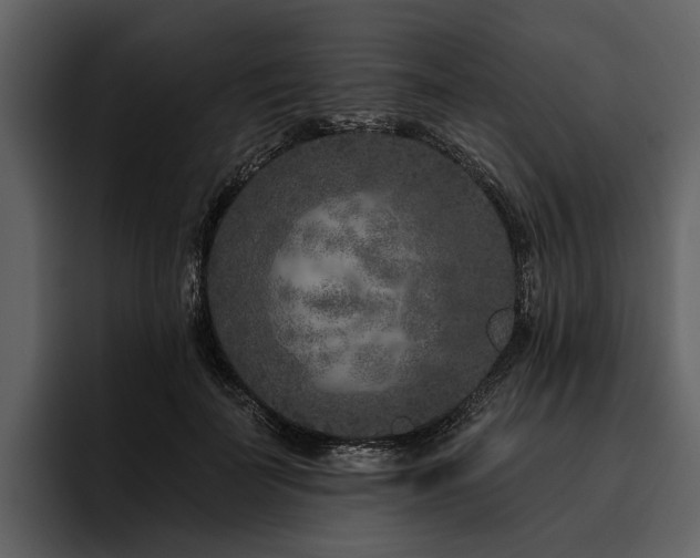 X0000095920699200801111235
