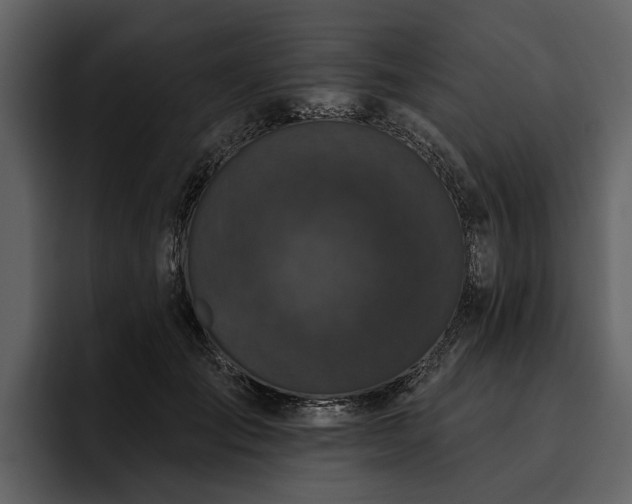X0000095920701200801111235