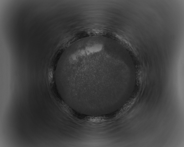 X0000095920709200801111235