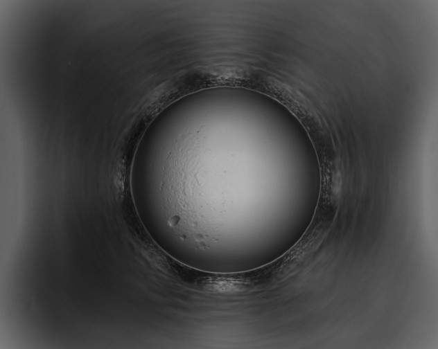 X0000095920710200801111235