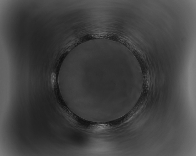X0000095920711200801111235