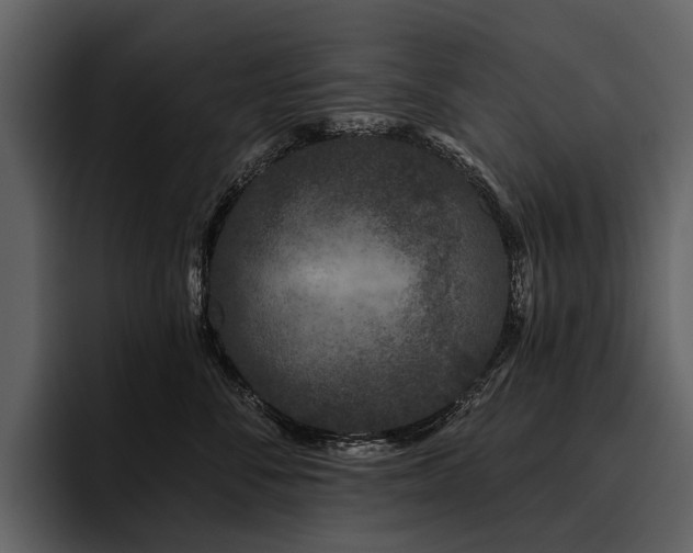 X0000095920716200801111235
