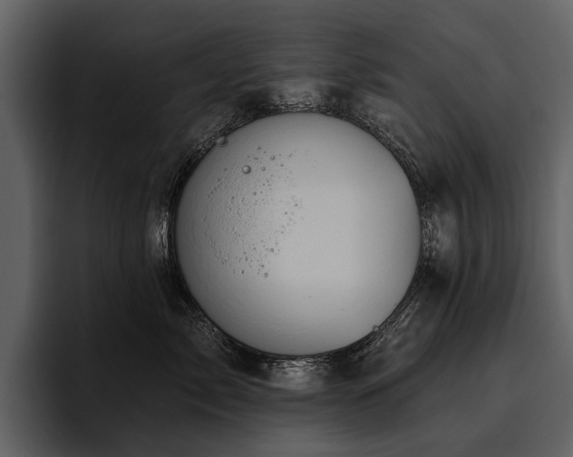 X0000095920717200801111235