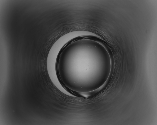 X0000095920720200801111235
