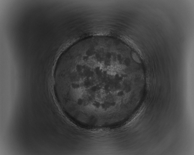X0000095920721200801111234