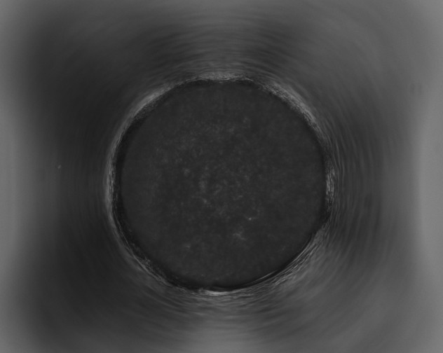 X0000095920724200801111234