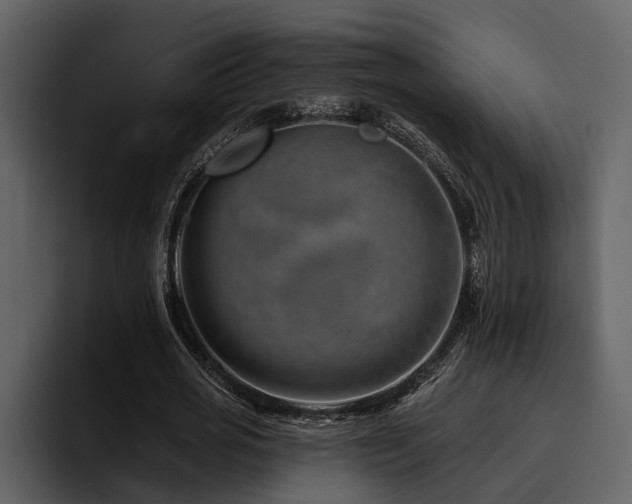 X0000095920725200801111234