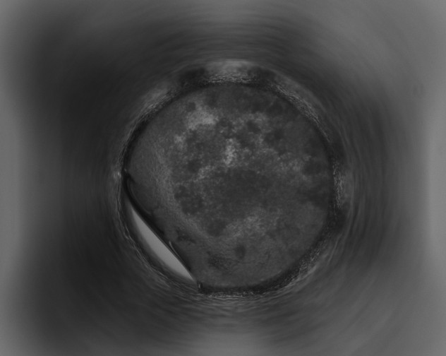X0000095920729200801111234