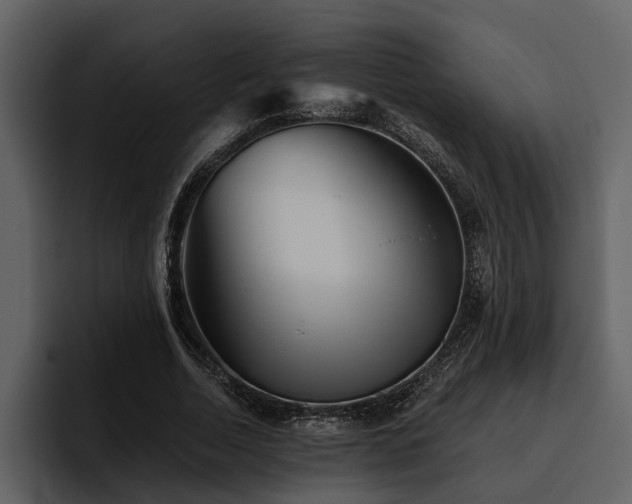 X0000095920730200801111234