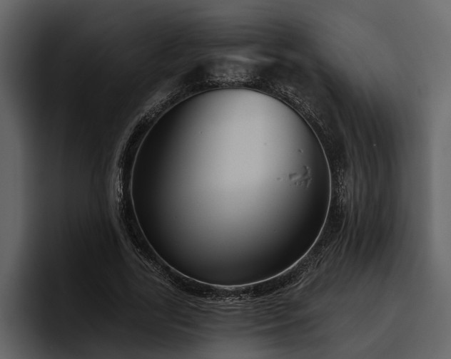 X0000095920731200801111234