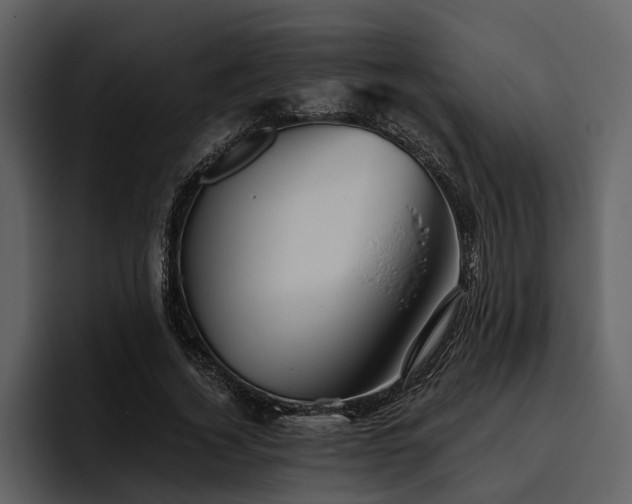 X0000095920732200801111234
