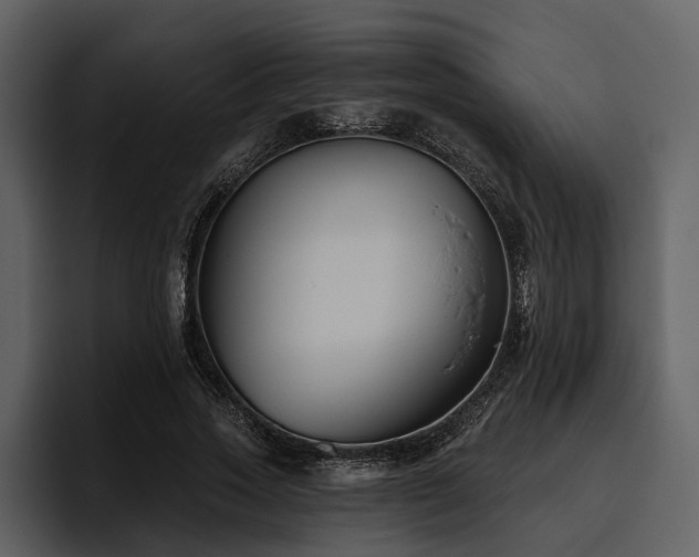 X0000095920733200801111234