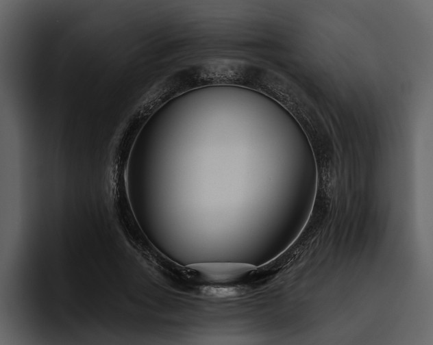 X0000095920735200801111235