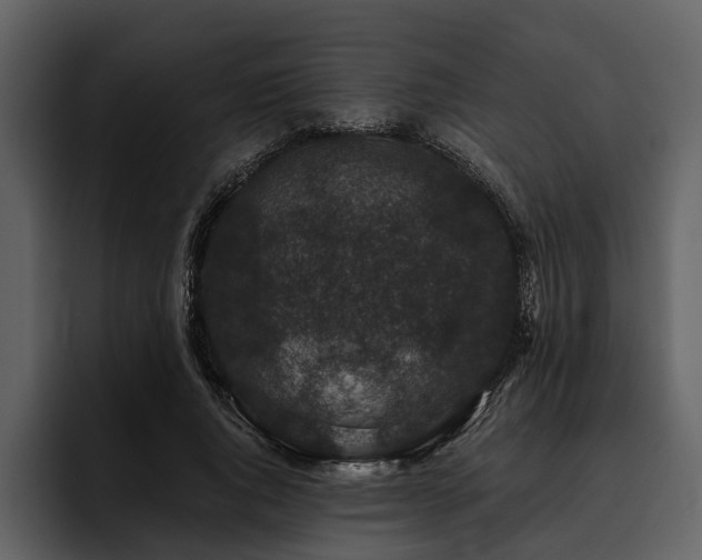 X0000095920736200801111235