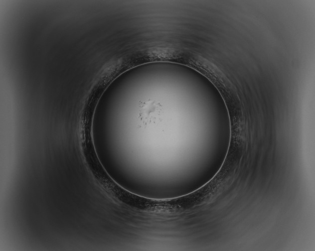 X0000095920738200801111235