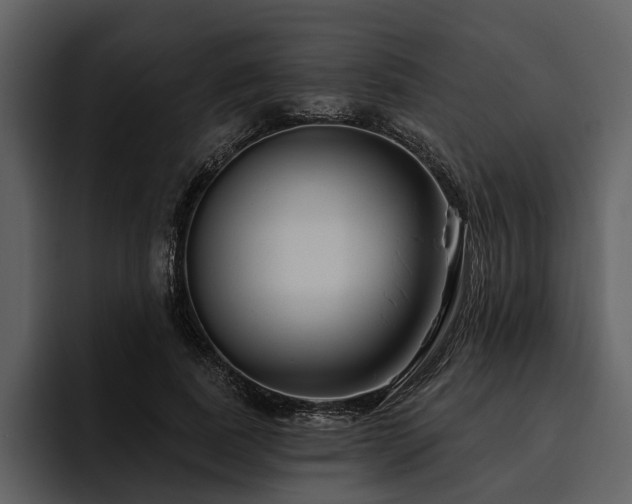X0000095920739200801111235