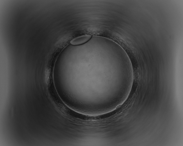 X0000095920742200801111235