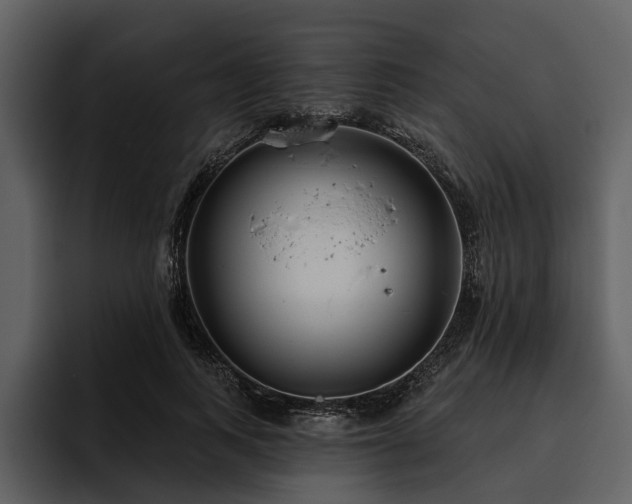 X0000095920743200801111235