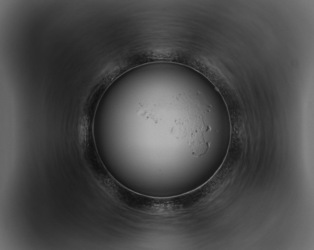 X0000095920744200801111235