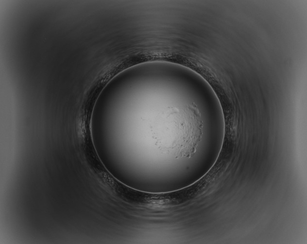 X0000095920746200801111235