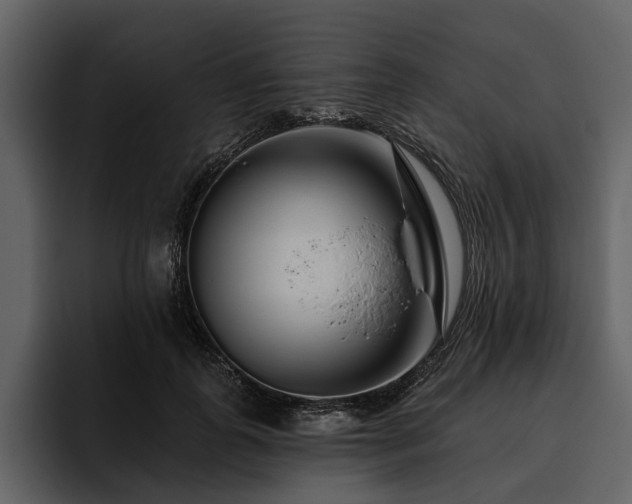 X0000095920747200801111235