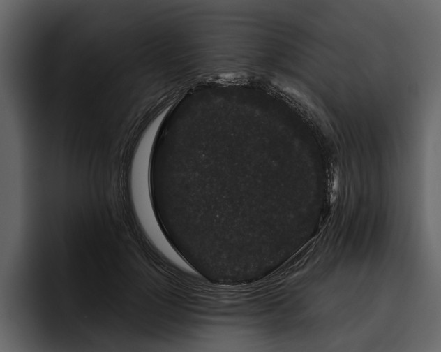 X0000095920748200801111235