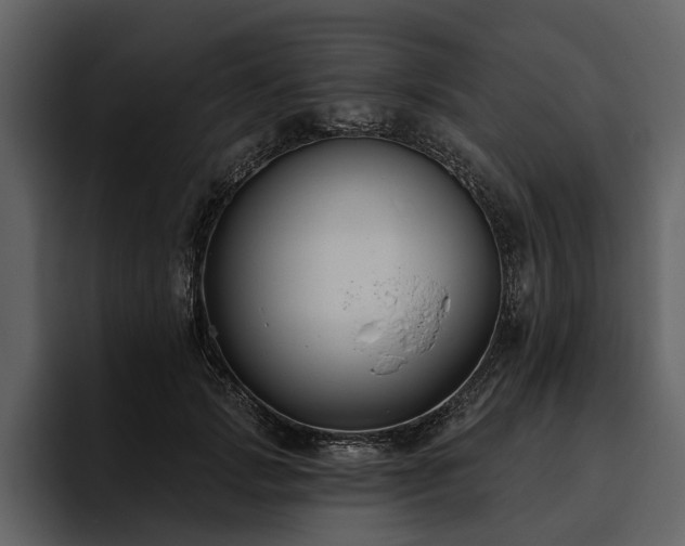X0000095920749200801111235