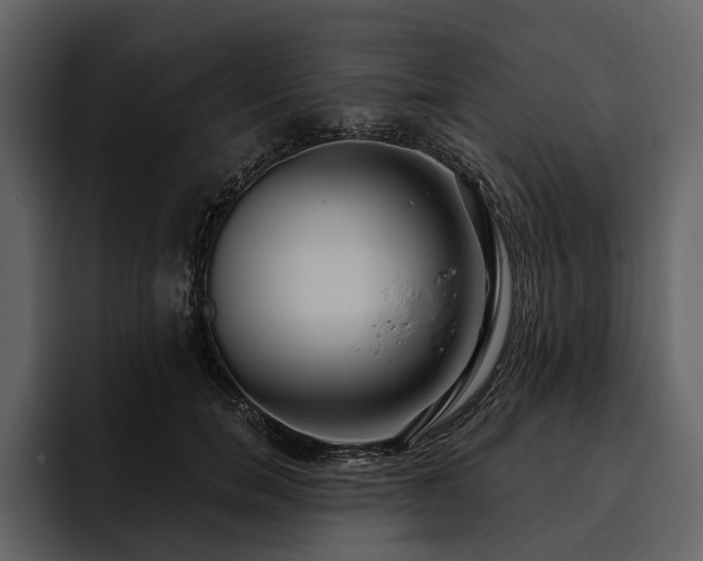 X0000095920750200801111235