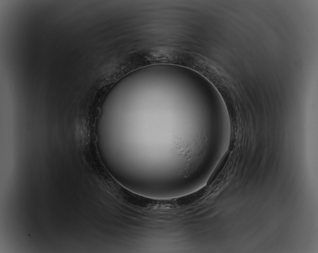 X0000095920751200801111235