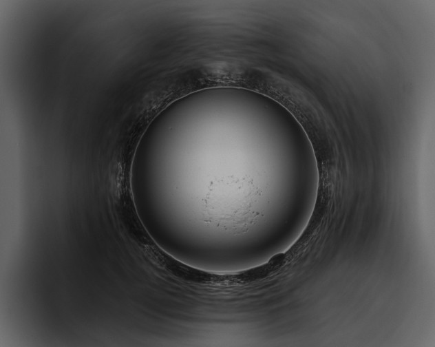X0000095920752200801111235