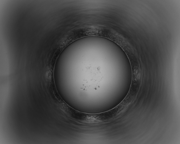 X0000095920753200801111235
