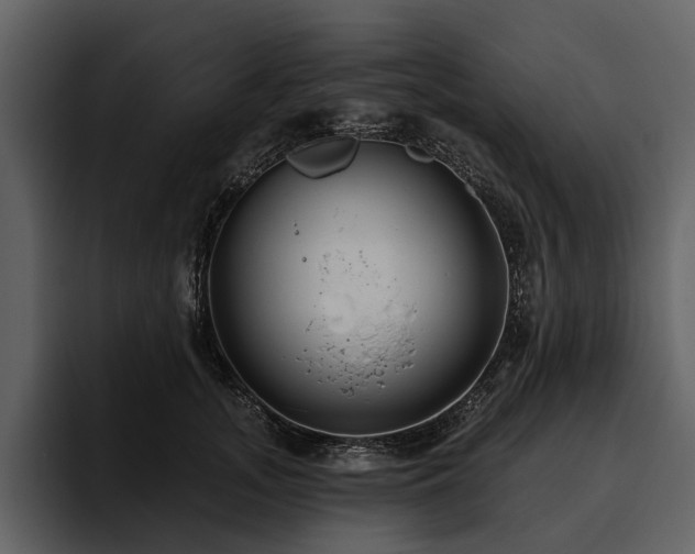 X0000095920755200801111235