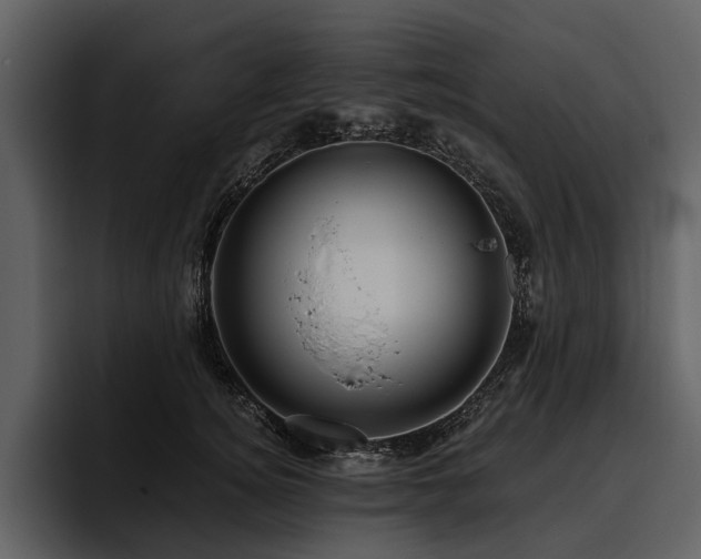 X0000095920756200801111235