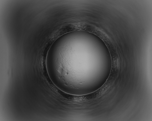 X0000095920757200801111235