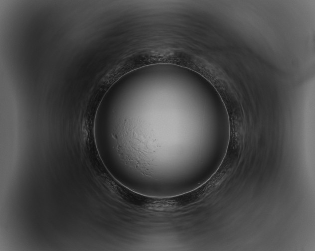 X0000095920758200801111235