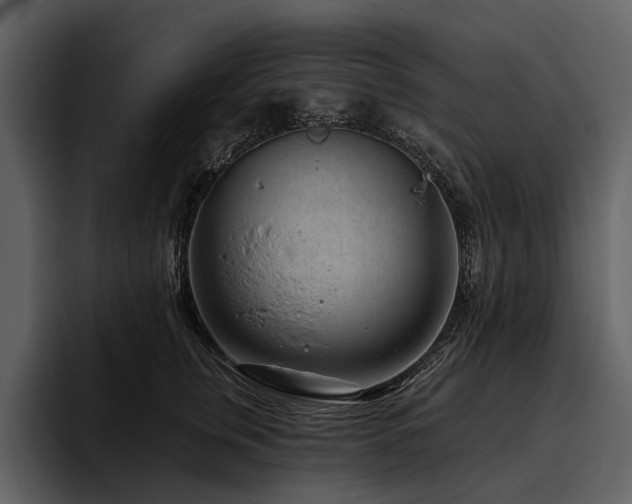 X0000095920759200801111235