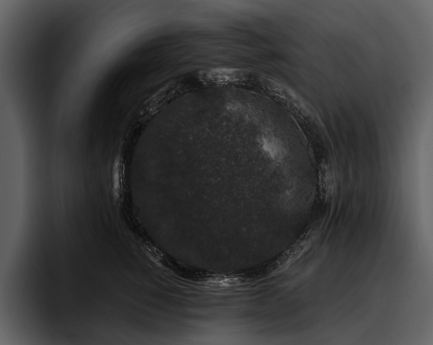 X0000095920760200801111235