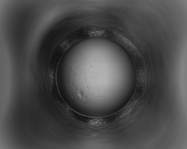 X0000095920761200801111235
