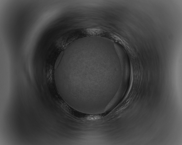 X0000095920762200801111235
