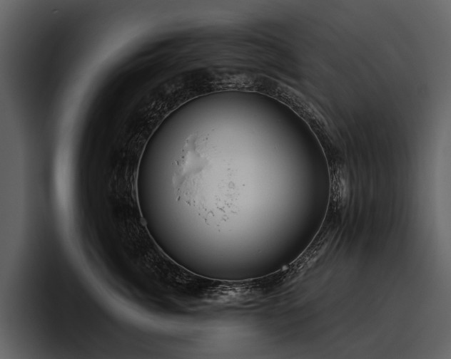 X0000095920764200801111235