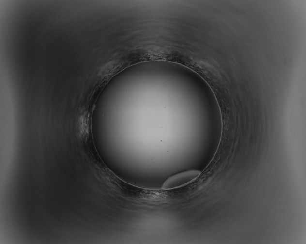 X0000095920768200801111235
