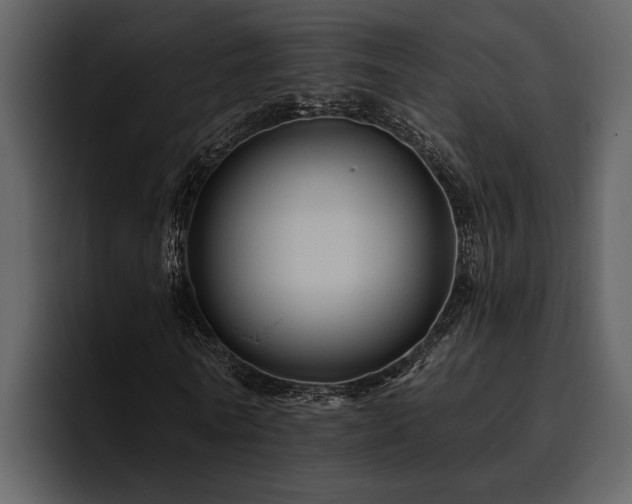 X0000095920770200801111234