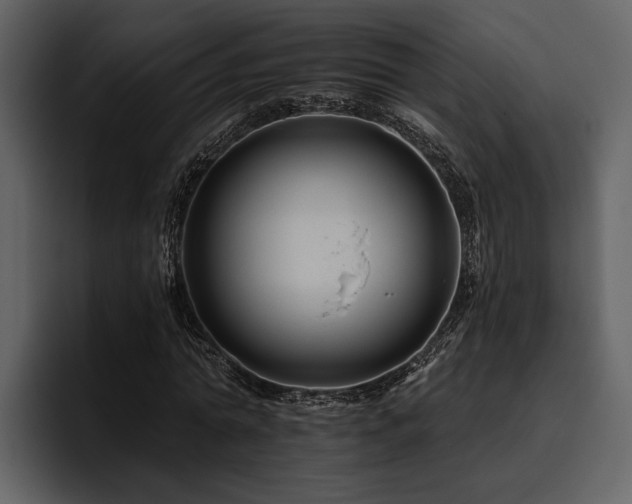 X0000095920774200801111234