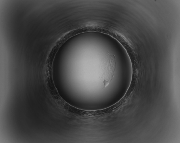 X0000095920776200801111234