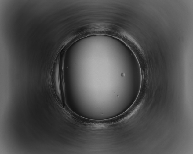 X0000095920777200801111234