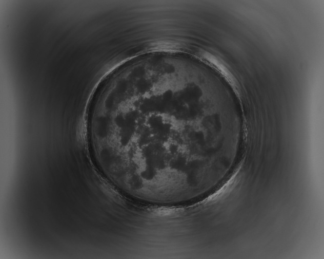 X0000095920779200801111234