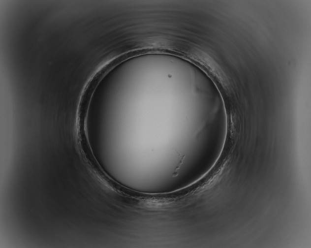 X0000095920780200801111234