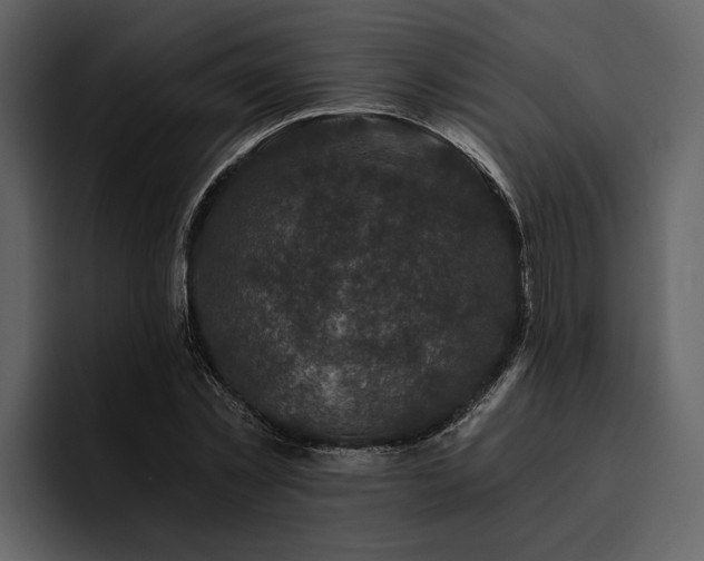 X0000095920781200801111234