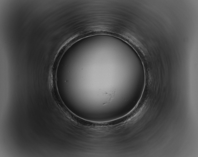 X0000095920782200801111234